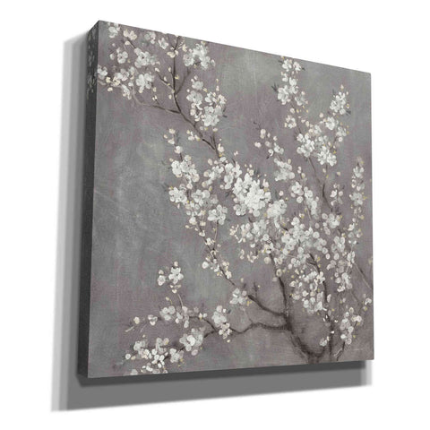 Image of 'White Cherry Blossom II on Grey' by Danhui Nai, Canvas Wall Art