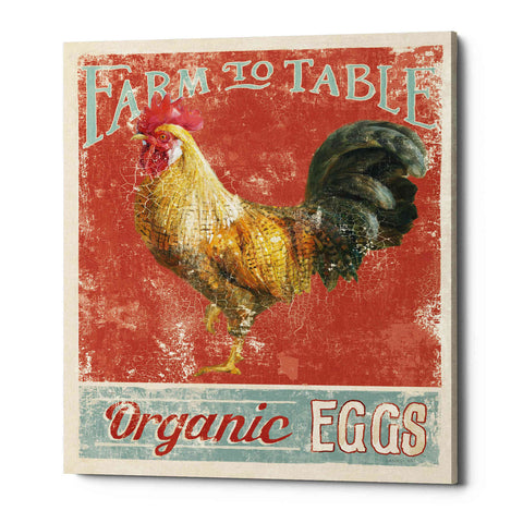 Image of 'Farm Nostalgia V' by Danhui Nai, Canvas Wall Art