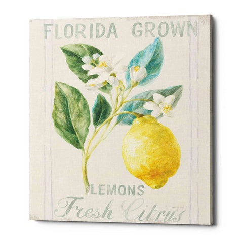 Image of 'Floursack Lemon I' by Danhui Nai, Canvas Wall Art