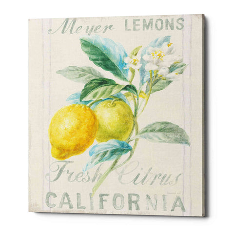Image of 'Floursack Lemon II' by Danhui Nai, Canvas Wall Art