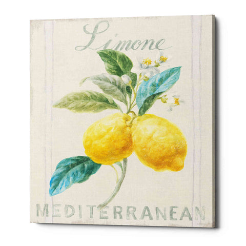 Image of 'Floursack Lemon III' by Danhui Nai, Canvas Wall Art