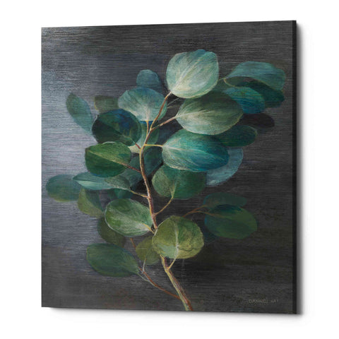 Image of 'Fresh I' by Danhui Nai, Canvas Wall Art