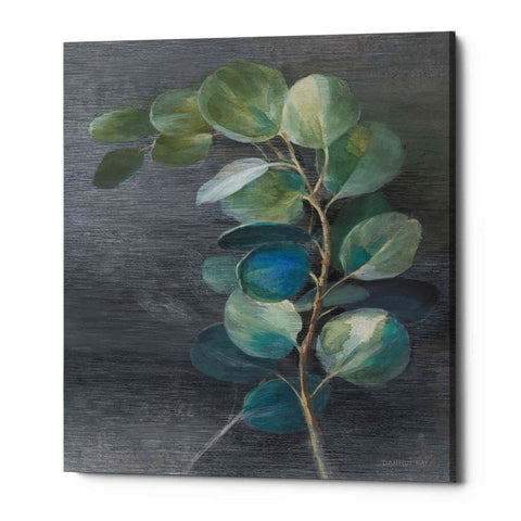 Image of 'Fresh II' by Danhui Nai, Canvas Wall Art