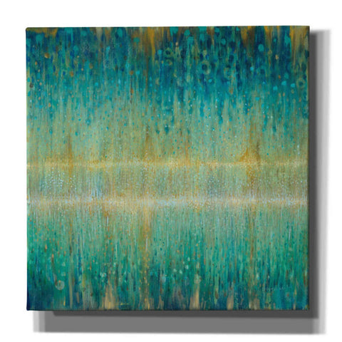 Image of 'Rain Abstract I' by Danhui Nai, Canvas Wall Art