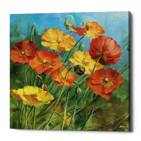 Image of 'Summer Field IV' by Danhui Nai, Canvas Wall Art