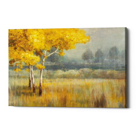 Image of 'Yellow Landscape' by Danhui Nai, Canvas Wall Art