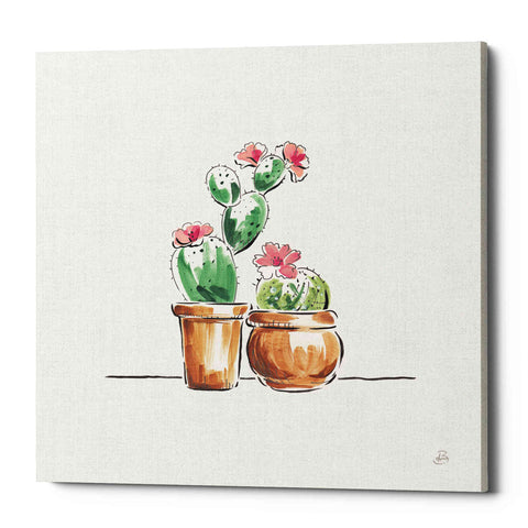 Image of 'Desert Bloom VII' by Daphne Brissonet, Canvas Wall Art