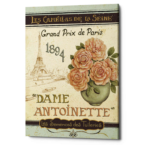 Image of 'French Seed Packet II' by Daphne Brissonet, Canvas Wall Art