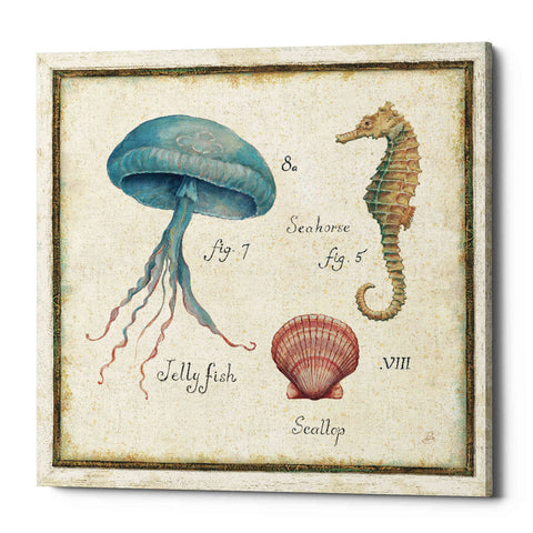 Image of 'Oceanography III' by Daphne Brissonet, Canvas Wall Art