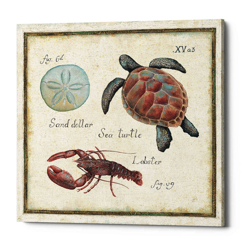 Image of 'Oceanography II' by Daphne Brissonet, Canvas Wall Art