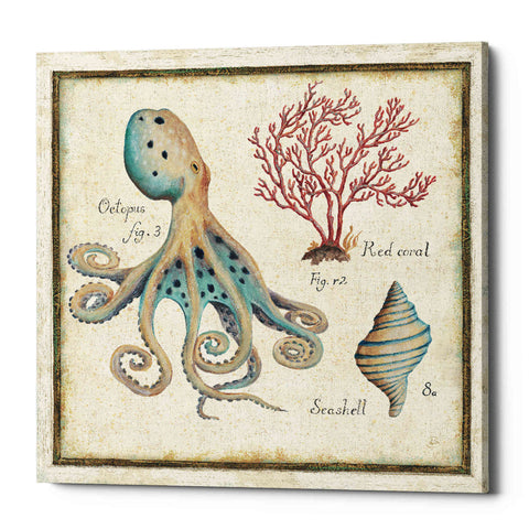 Image of 'Oceanography I' by Daphne Brissonet, Canvas Wall Art