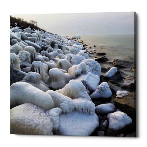 Image of 'Coast' by Dariusz Klimczak, Canvas Wall Art