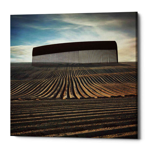 Image of 'Combing The Field' by Dariusz Klimczak, Canvas Wall Art