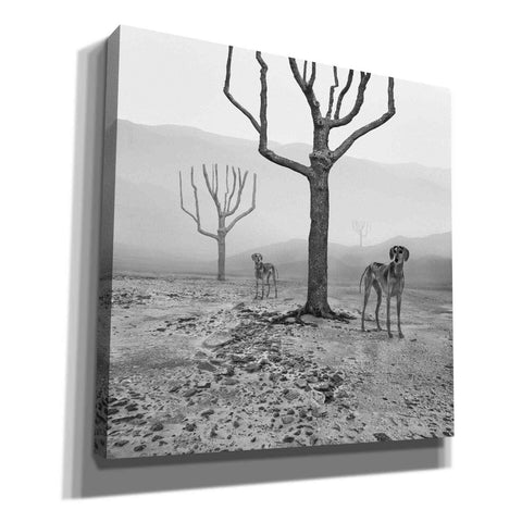 Image of 'Dogs in Fog' by Dariusz Klimczak, Giclee Canvas Wall Art