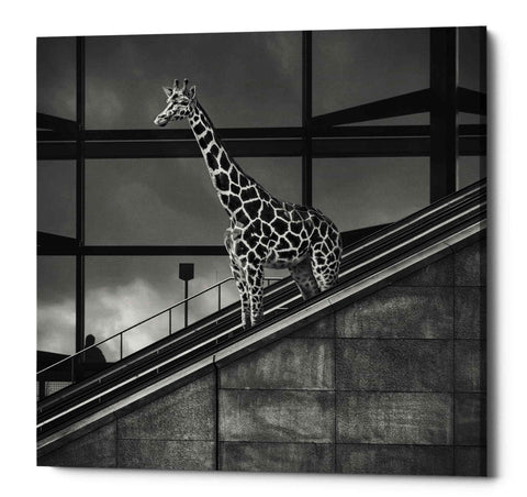 Image of 'Downstairs' by Dariusz Klimczak, Canvas Wall Art