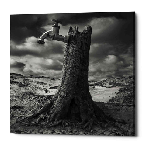 Image of 'Dry' by Dariusz Klimczak, Canvas Wall Art