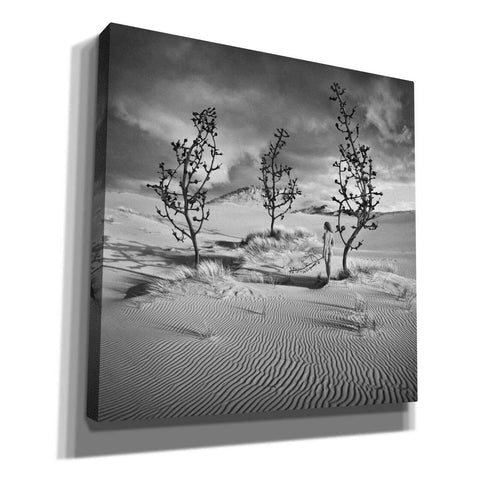 Image of 'Egarden' by Dariusz Klimczak, Giclee Canvas Wall Art