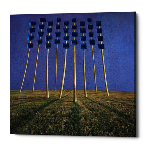 Image of 'Flowers' by Dariusz Klimczak, Canvas Wall Art