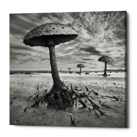 Image of 'Kanie' by Dariusz Klimczak, Canvas Wall Art