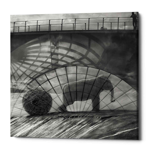 Image of 'Kingandi' by Dariusz Klimczak, Canvas Wall Art