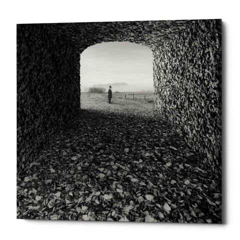 Image of 'Labyrinth' by Dariusz Klimczak, Canvas Wall Art
