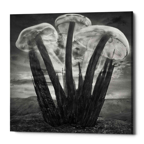 Image of 'Meduzalem' by Dariusz Klimczak, Canvas Wall Art