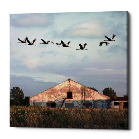 Image of 'Oktet' by Dariusz Klimczak, Canvas Wall Art