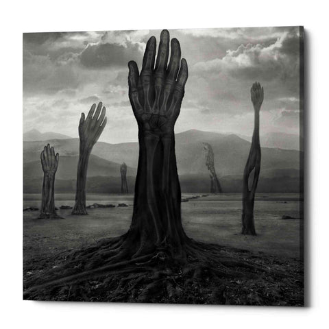 Image of 'Rentgen' by Dariusz Klimczak, Canvas Wall Art