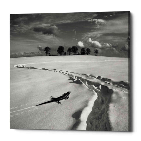 Image of 'Snowy Lizard' by Dariusz Klimczak, Canvas Wall Art