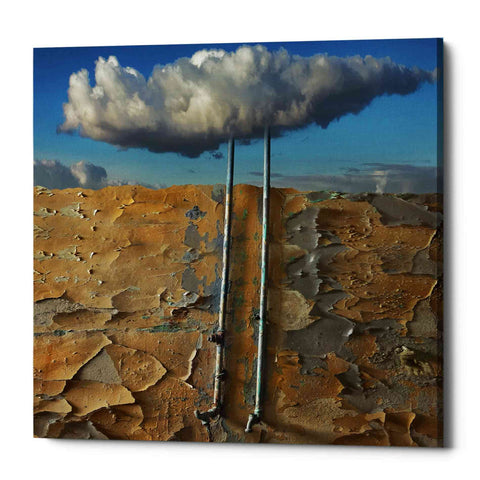 Image of 'Susza' by Dariusz Klimczak, Canvas Wall Art