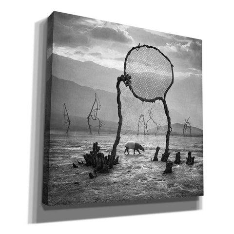 Image of 'Tapir' by Dariusz Klimczak, Giclee Canvas Wall Art
