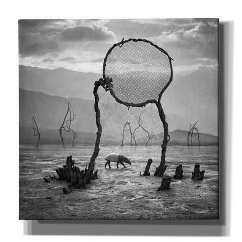 Image of 'Tapir' by Dariusz Klimczak, Giclee Canvas Wall Art