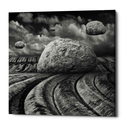Image of 'Unharvested' by Dariusz Klimczak, Canvas Wall Art