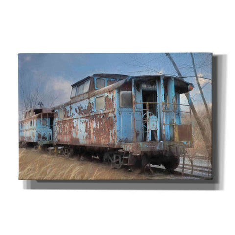 Image of 'The Dalmatia Run' by Lori Deiter, Canvas Wall Art,Size A Landscape