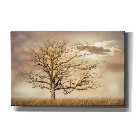 Image of 'Golden Tree' by Lori Deiter, Canvas Wall Art,Size A Landscape