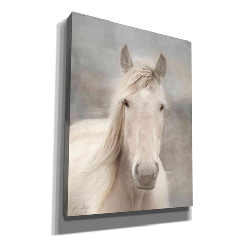 Image of 'White Beauty I' by Lori Deiter, Canvas Wall Art,Size B Portrait