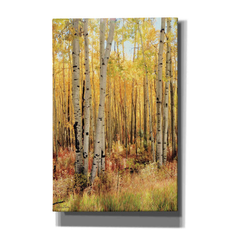 Image of 'Solid Gold II' by Lori Deiter, Canvas Wall Art,Size A Portrait