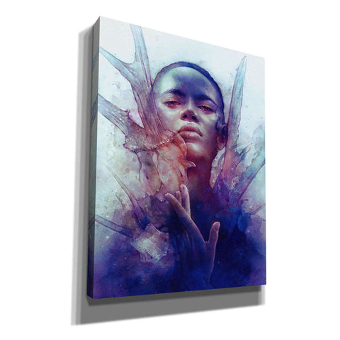 Image of 'Prey' by Anna Dittman, Canvas Wall Art,Size B Portrait