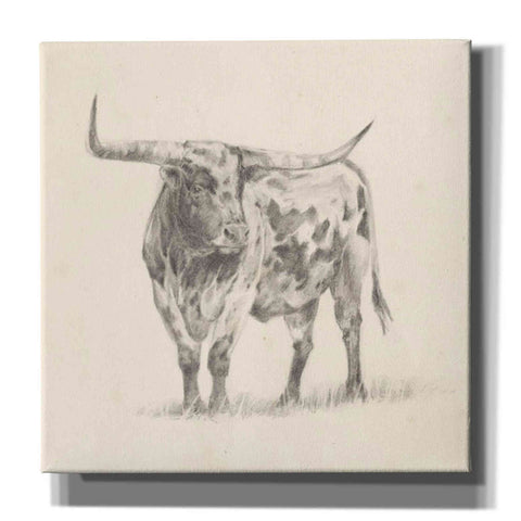Image of 'Longhorn Steer Sketch II' by Ethan Harper, Canvas Wall Art,Size 1 Square