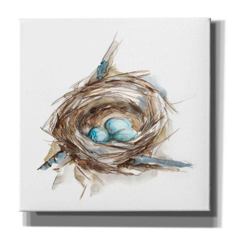 Image of 'Bird Nest Study II' by Ethan Harper, Canvas Wall Art,Size 1 Square