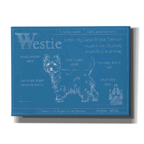 Image of 'Blueprint Westie' by Ethan Harper Canvas Wall Art,Size B Landscape