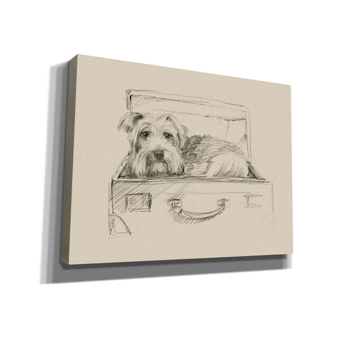 Image of 'Stowaway I' by Ethan Harper Canvas Wall Art,Size B Landscape