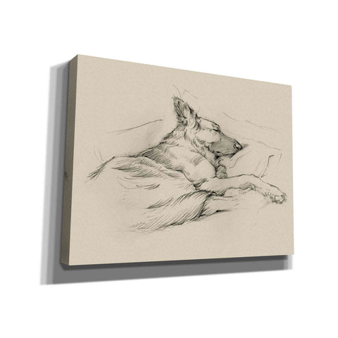 Image of 'Dog Days IV' by Ethan Harper Canvas Wall Art,Size B Landscape