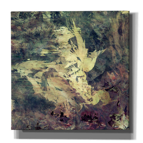Image of 'Earth As Art: Sandy Scars' Canvas Wall Art