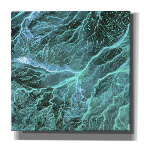 Image of 'Earth As Art: Wadi Branches' Canvas Wall Art