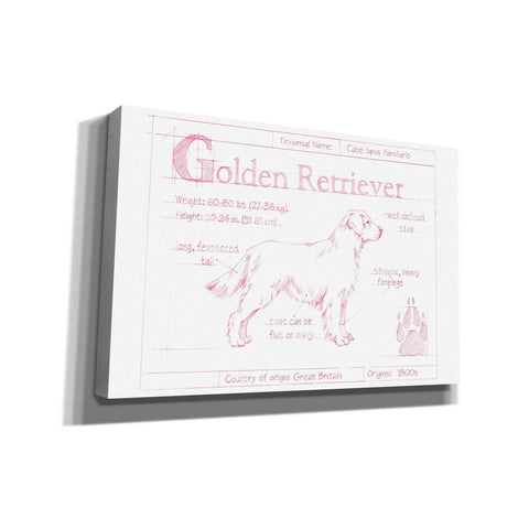 Image of 'Blueprint Golden Retriever in Pink' by Ethan Harper Canvas Wall Art,Size A Landscape