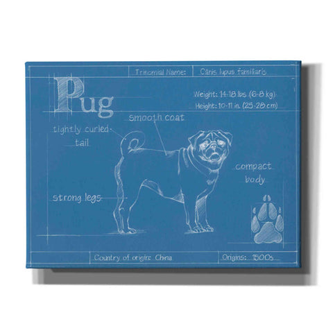 Image of 'Blueprint Pug' by Ethan Harper Canvas Wall Art,Size B Landscape