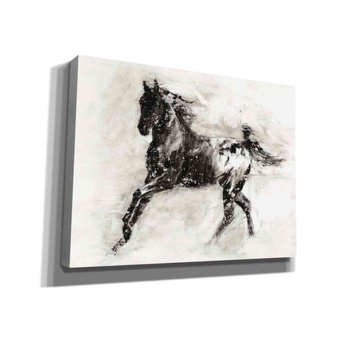 Image of 'Rustic Appaloosa II' by Ethan Harper Canvas Wall Art,Size B Landscape