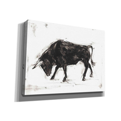 Image of 'Toro I' by Ethan Harper Canvas Wall Art,Size B Landscape