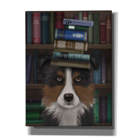 Image of 'Border Collie, Tricolour, and Books,' by Fab Funky, Giclee Canvas Wall Art